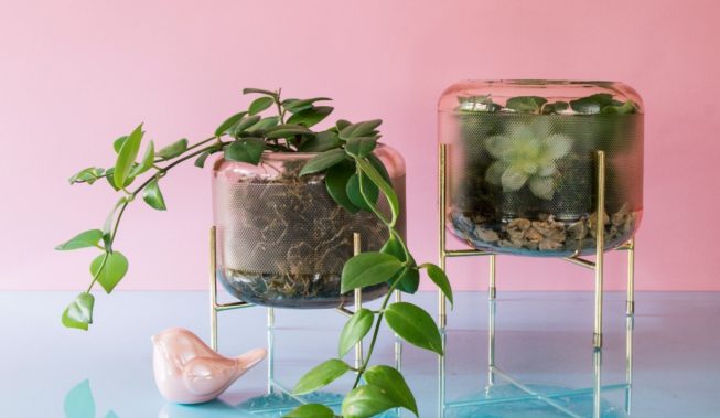 5 wakacyjnych dodatków do domu