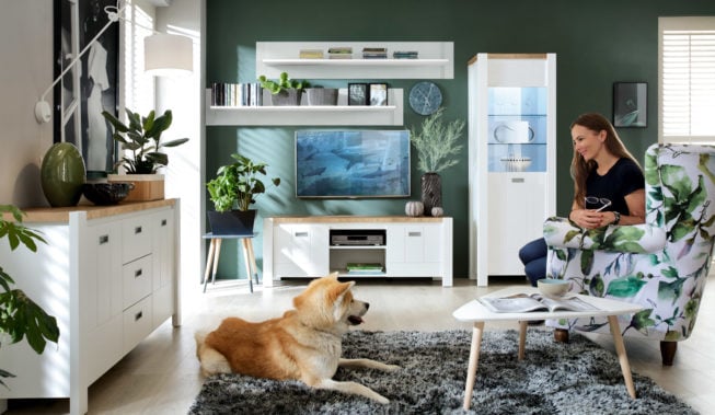 Zwierzak w domu! Jak zabezpieczyć meble przed psem lub kotem?