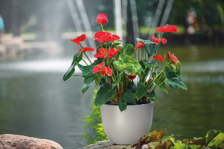 Sztuczne kwiaty - hit czy kit