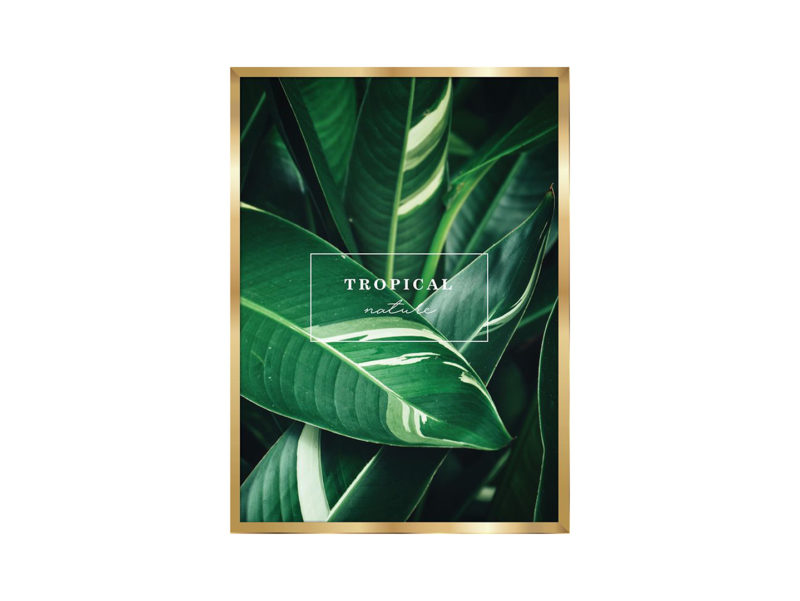 Obraz Tropical Nature