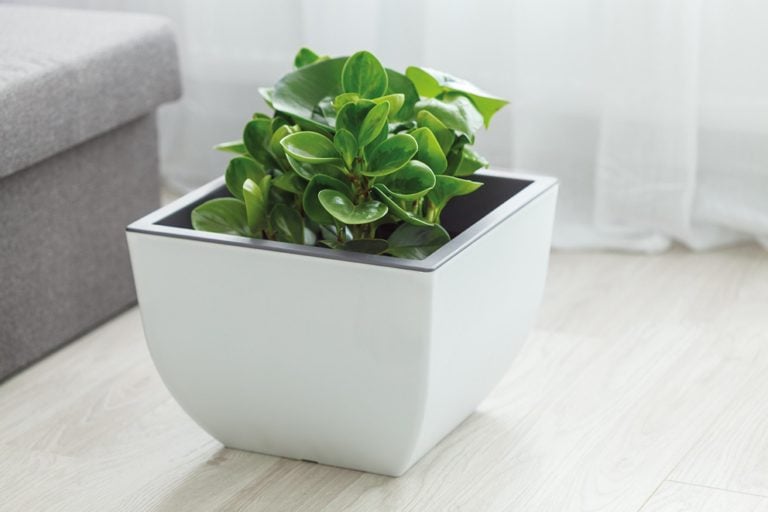 Biało-szara donica Muna