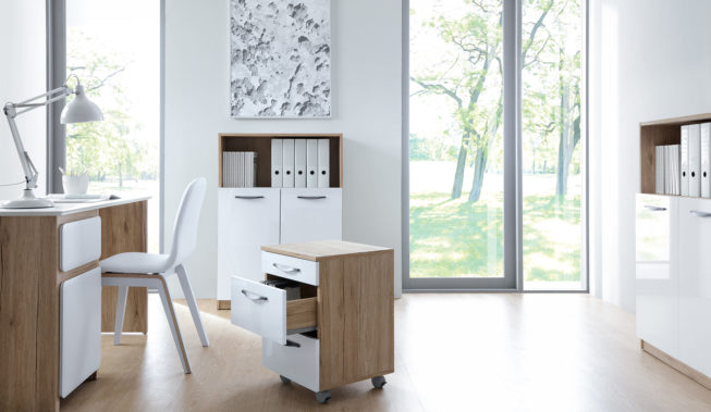 Dekoracje do biura – czy to profesjonalne?