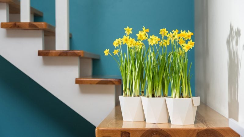 Osłonka na doniczkę