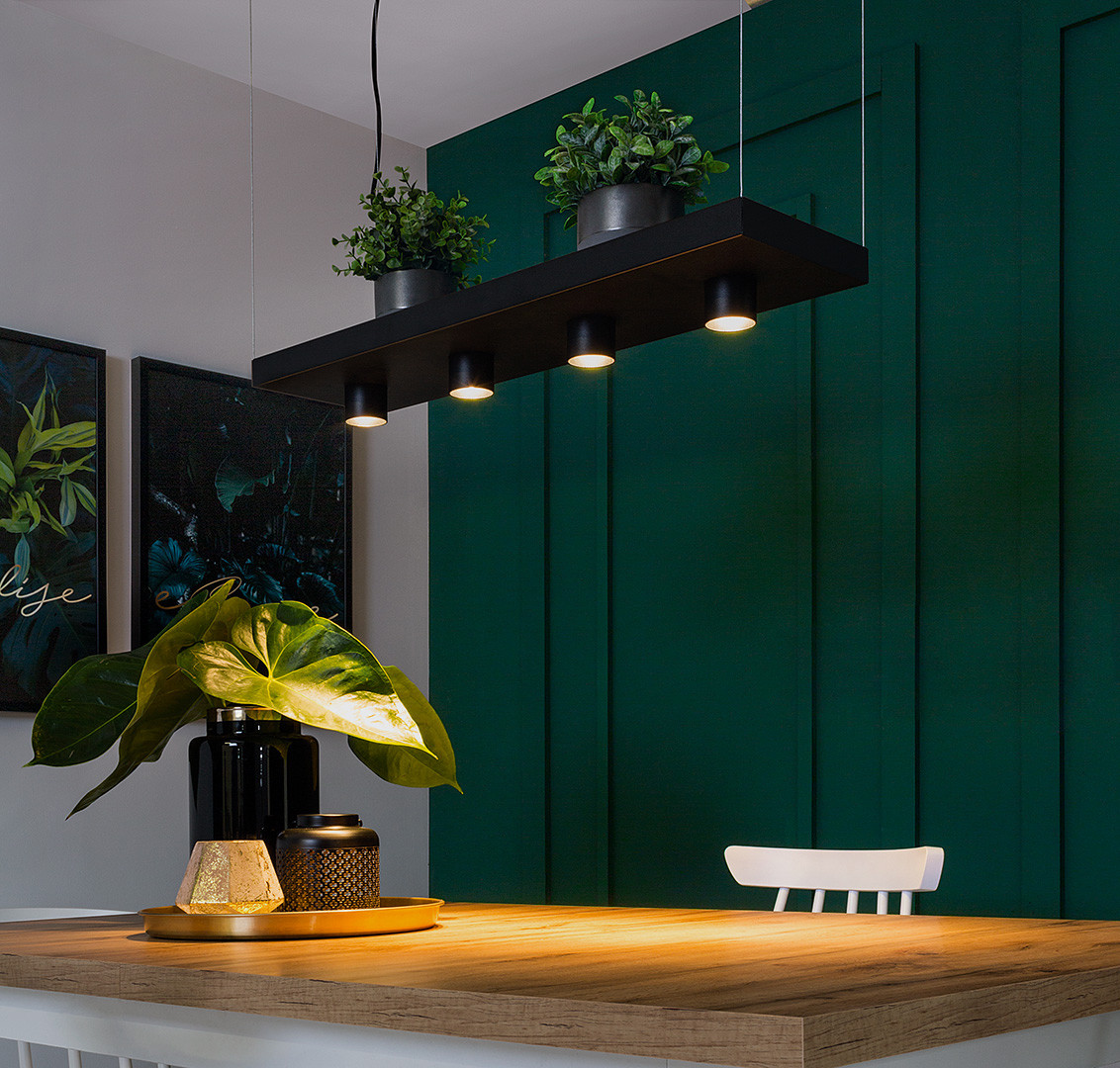 Lampa wisząca Plant Black