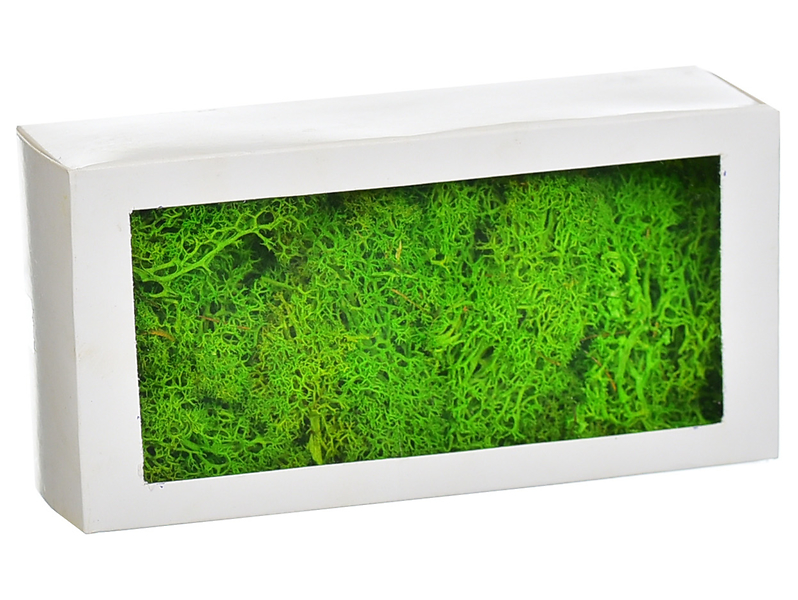 Mech Chrobotek do dekoracji