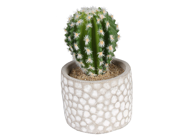 Kaktus sztuczny
