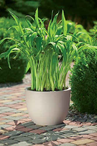 Doniczka Muna sprawdzi się na balkonie i na tarasie