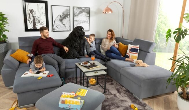 7 sprawdzonych sposobów na pozbycie się sierści psa z mieszkania