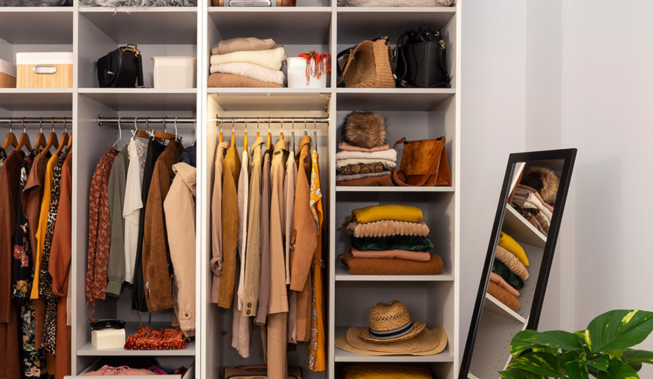 Intruz w szafie – domowe sposoby na mole ubraniowe