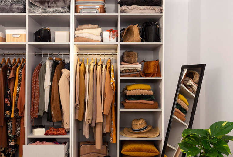 Mole ubraniowe – poznaj domowe sposoby na pozbycie się szkodników