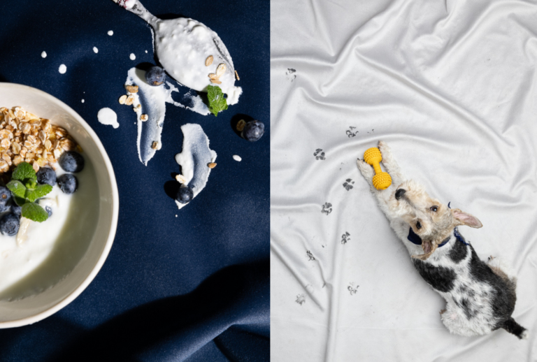 Jak usunąć plamy z tkanin funkcyjnych? Poznaj tkaniny Easy Clean i sposoby na ich czyszczenie