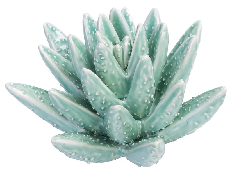 Figurka sukulent