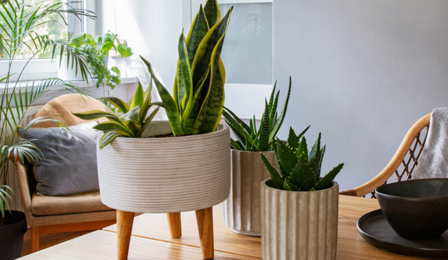 Lato w domu – 5 pomysłów na wakacyjne aranżacje wnętrz