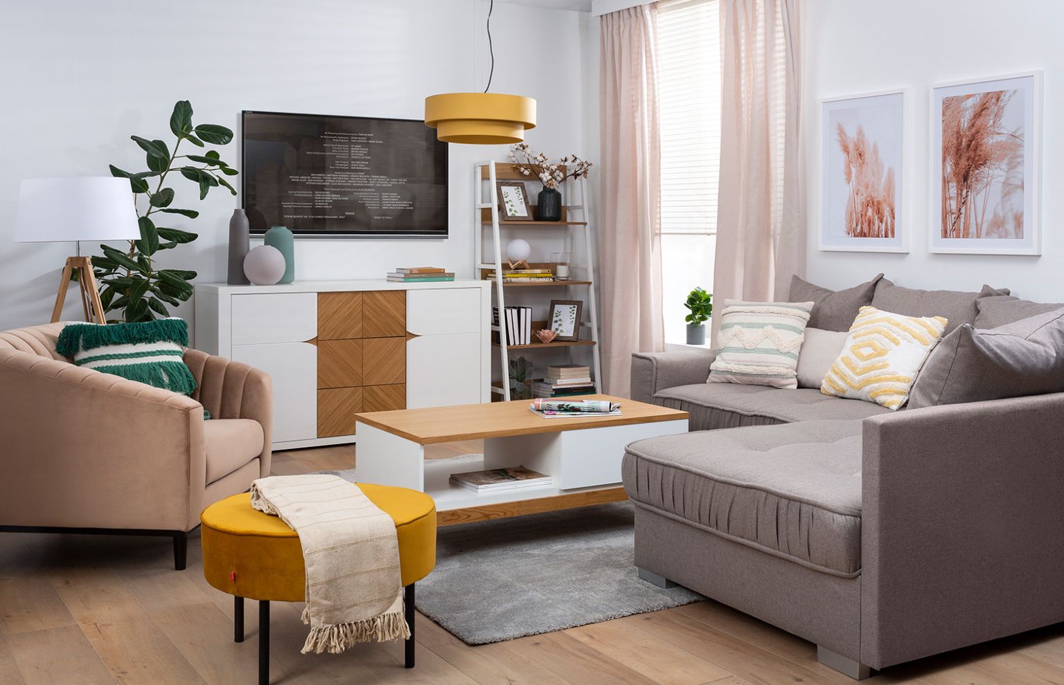 mało wymagające rośliny doniczkowe