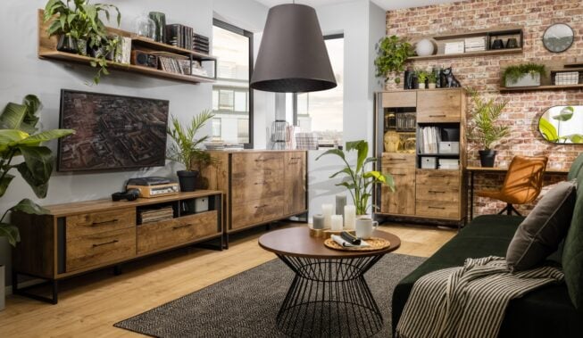 5 najmniej wymagających roślin doniczkowych, które upiększą Twoje wnętrze