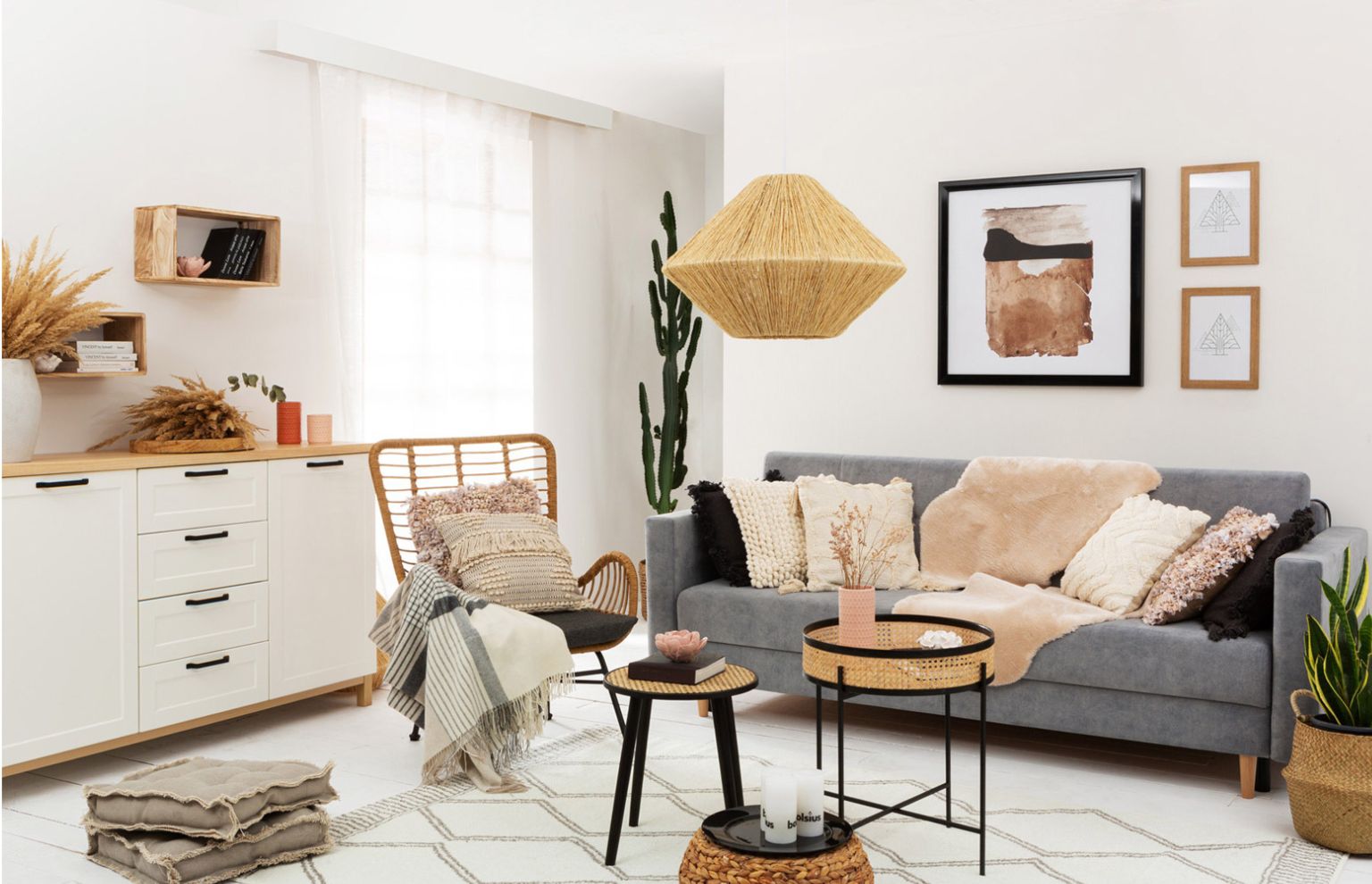 niewymagające rośliny do domu