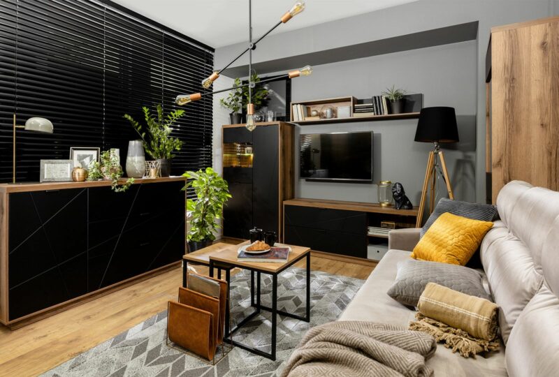 Ciemne meble do salonu z kolekcji Forn