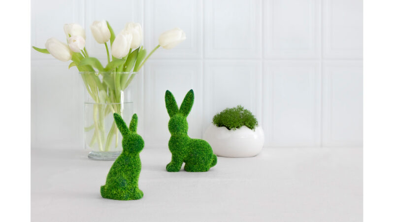 Pojemnik na rzeżuchę