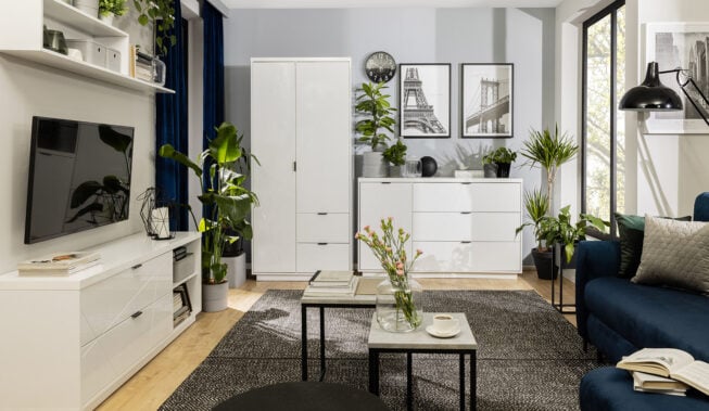Przechowywanie w salonie – poznaj sposoby na doskonałą organizację przestrzeni!