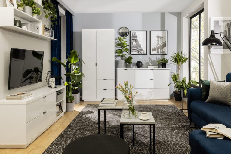 Kolekcja Forn w salonie (zdjęcie główne) - przechowywanie