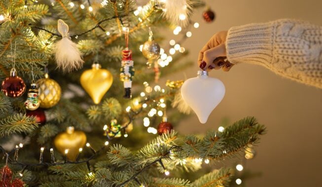 Choinka 2023 – trendy, które musisz znać!