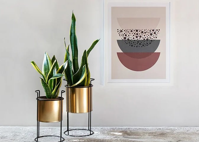 Doniczka w kolorze złotym