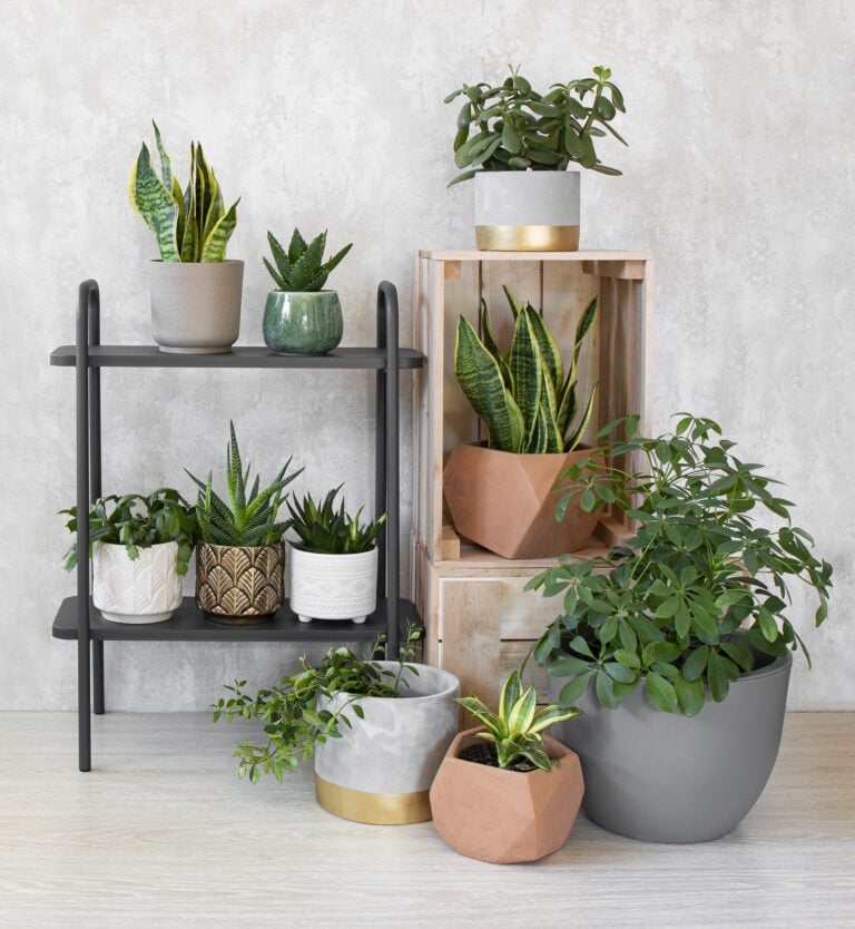 Donica Muna, osłonka Enar - aranżacja