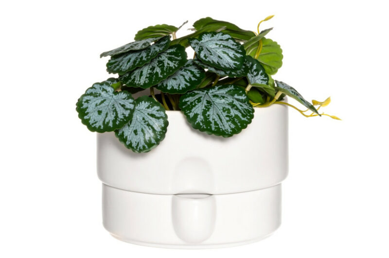 Doniczka z systemem nawadniającym 19 cm