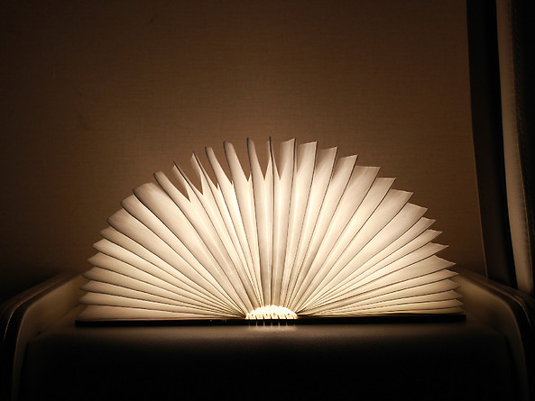 lampa stołowa dekoracyjna Booklight, 117221
