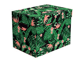 pudło Tropikalne