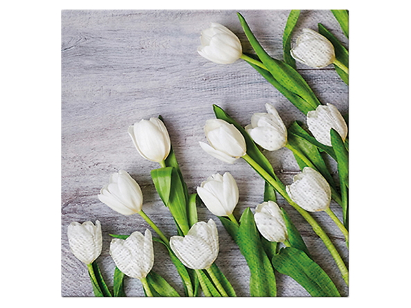 serwetki White Tulips, 95393