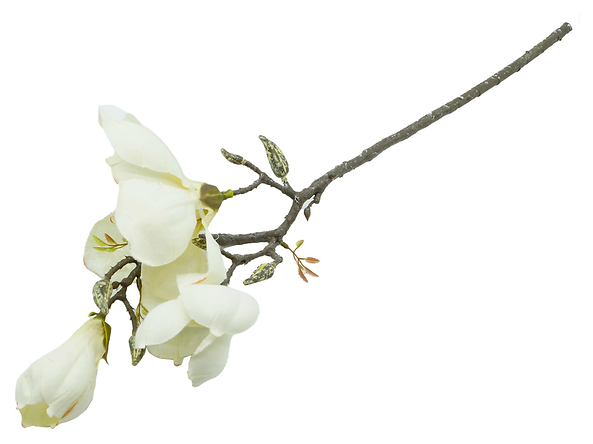 sztuczna gałązka magnolia, 157251