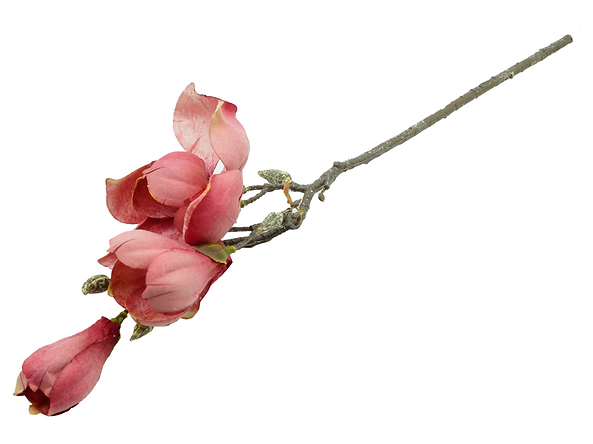 sztuczna gałązka magnolia, 157252