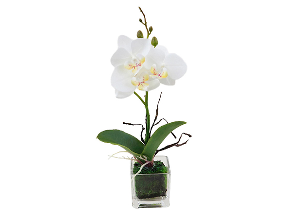 sztuczna orchidea w doniczce, 143116