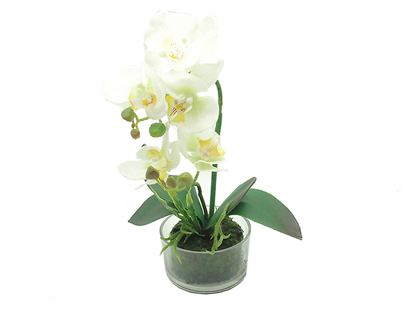 sztuczna orchidea w doniczce, 154124