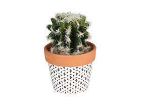 sztuczny kaktus w doniczce