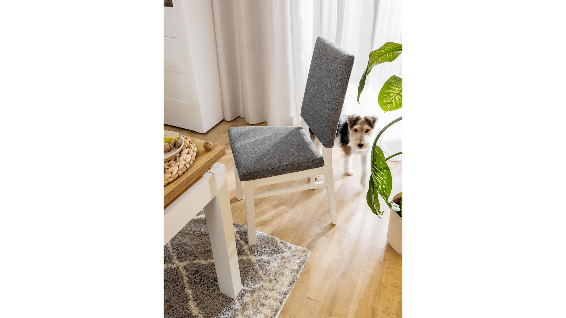 Inspiracja Horton, 9747