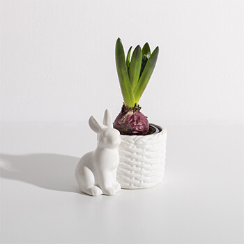 Sprawdź Osłonki i doniczki