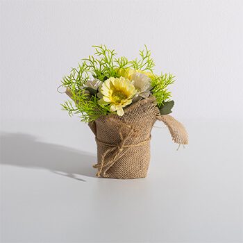 Sprawdź Sztuczne rośliny