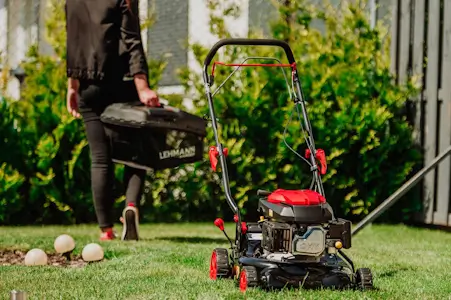 Sprawdź Sprzęt ogrodniczy