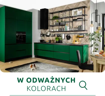 W odwaznych kolorach